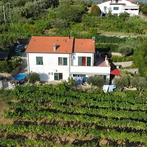 In Vino Veritas Frühstückspension